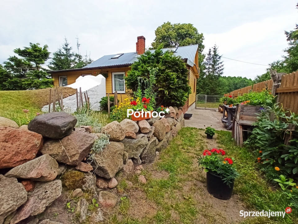 Siedlisko w Boruskach tereny nadbużańskie blacha Sprzedaż Borsuki