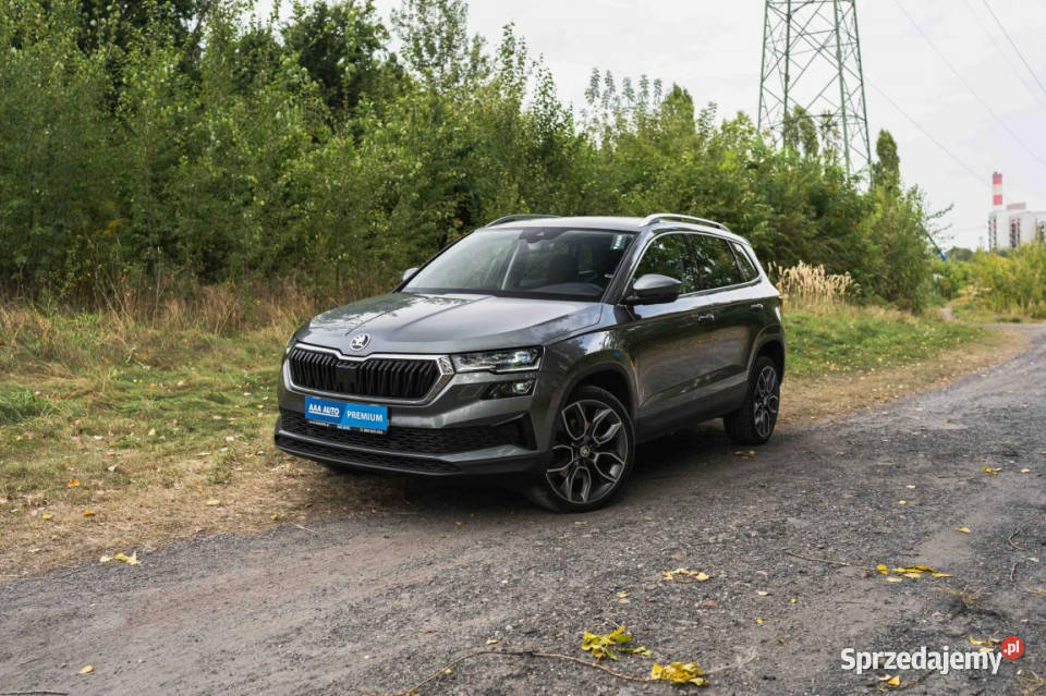 Skoda Karoq 15 TSI światła przeciwmgielne Katowice