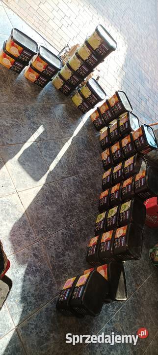 Farba Nobiles Pory roku różne kolory okazja