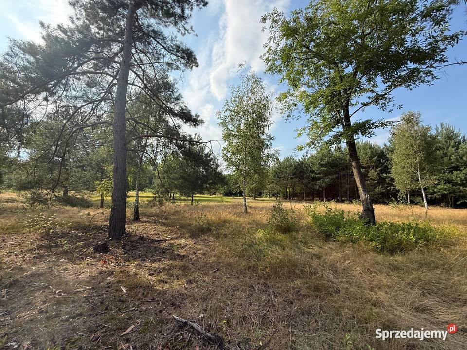 Działka z dostępem do jeziora Sumino prąd mazowieckie Gorzewo