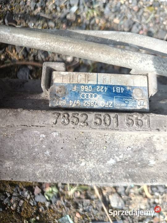 Maglownica audi śląskie Czerwionka-Leszczyny