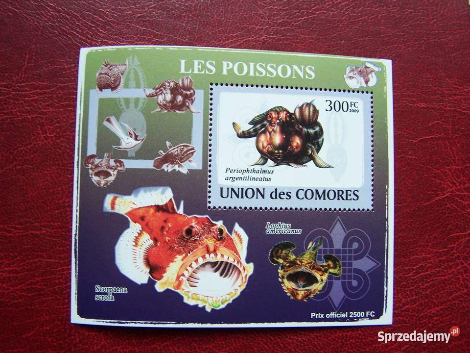Komory 2009 MNH Fauna Życie Morskie Ryby Nakład śląskie Tychy