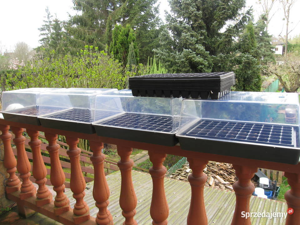 Pojemniki na rozsady