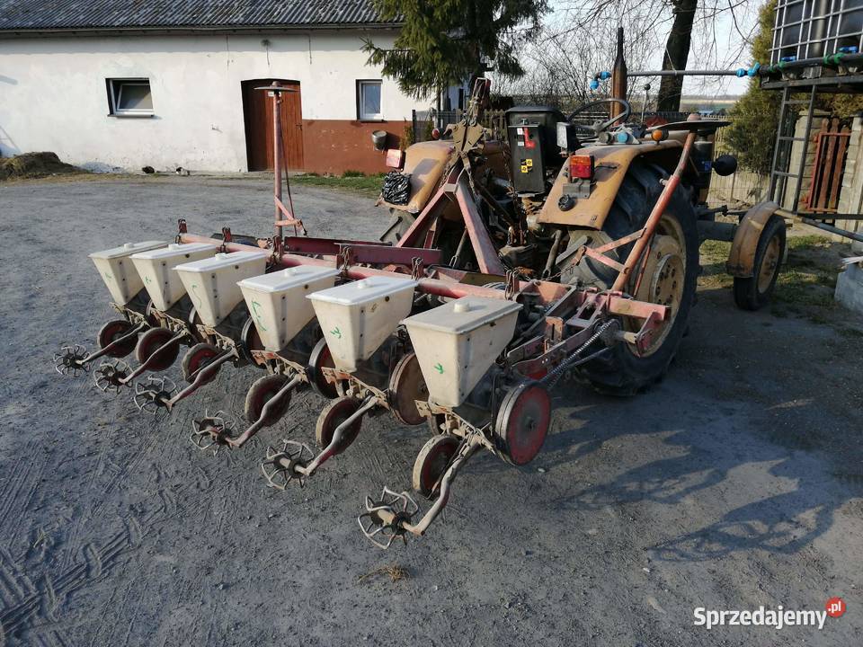 Siewnik do buraków GAMA Kajetanówka