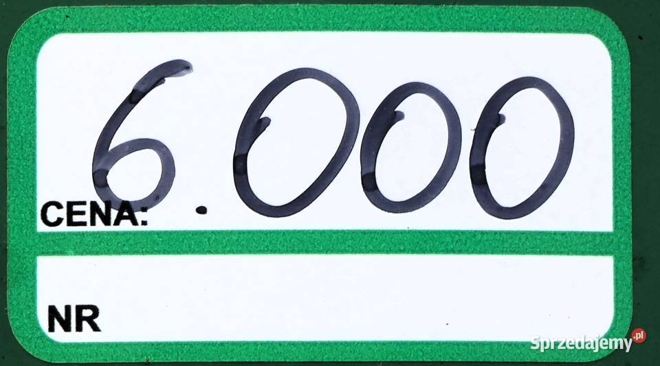 Odkurzacz naburtowy Billy Goat DL1301HEU Baras Świnice Warckie