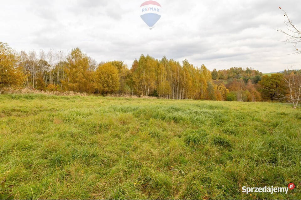 Działka rolna w Oczkowie 0m Żywiec sprzedam