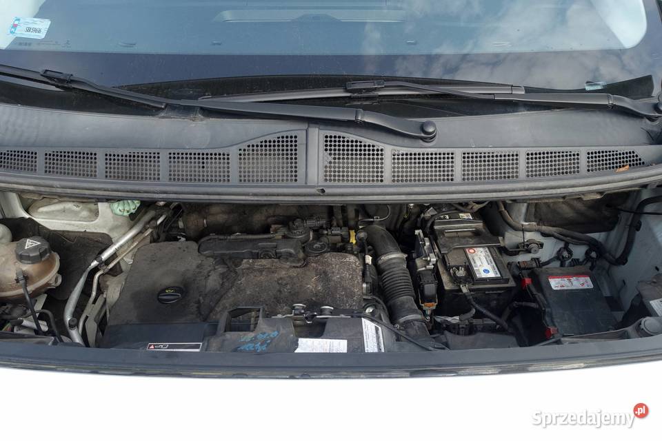 Peugeot Expert 20HDI 122 Salon 1 właściciel pierwszy właściciel Buczkowice
