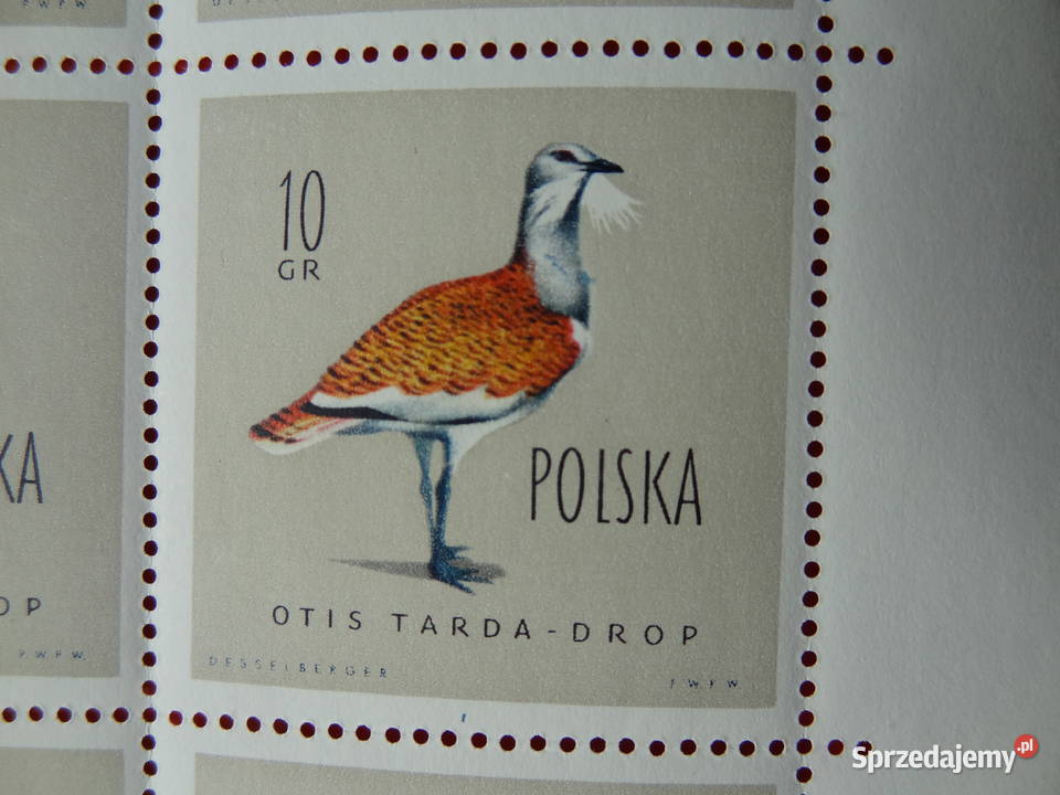 Znaczki pocztowe Polska Fi 1062 B1 Ark Filatelistyka podkarpackie Jarosław