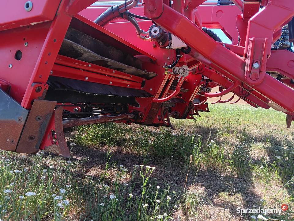 Kopaczka do cebuli Osłonino