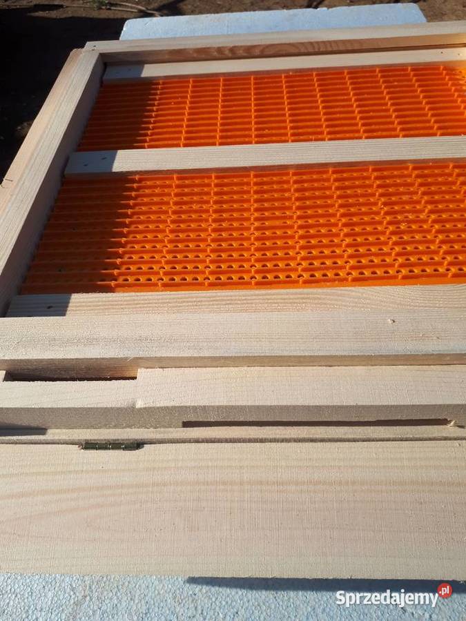 Ule wielkopolskie dennica z poławiaczem pyłku Tanina