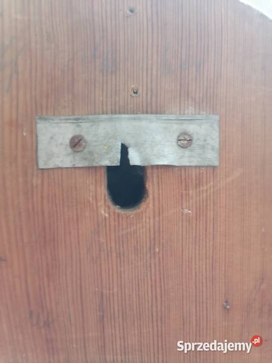 Trofeum myłkusa poroże jelenia sprzedam