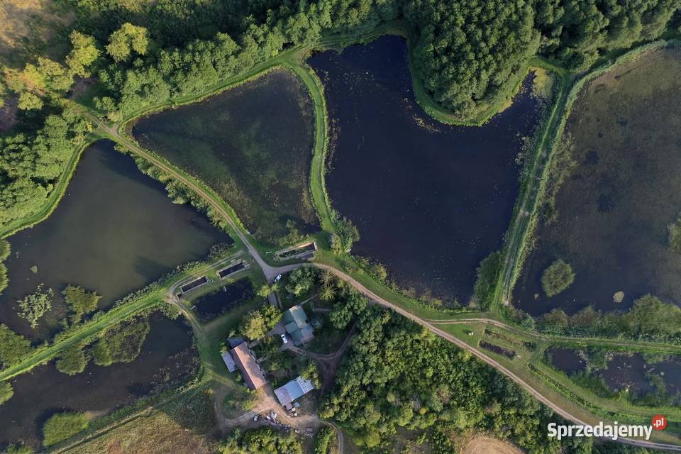 Na sprzedaż 235 ha prywatnej enklawy ze stawami Róża Wielka sprzedam