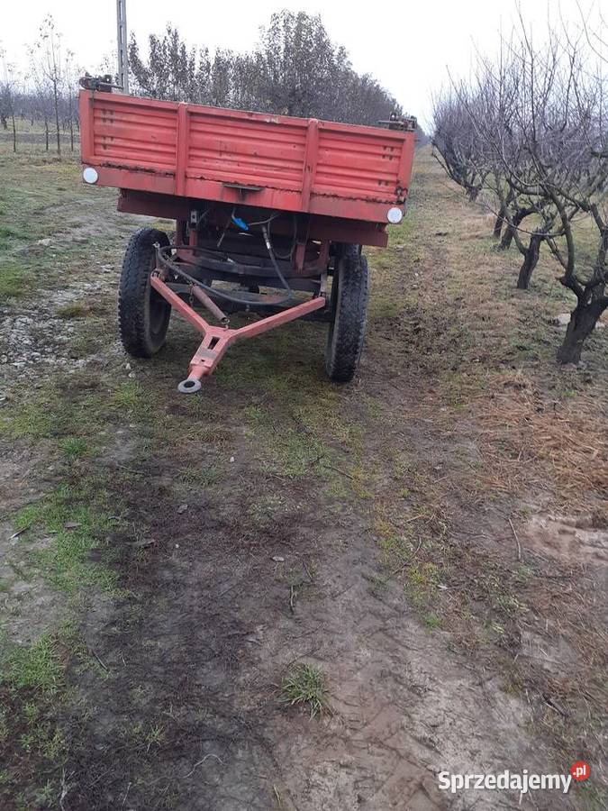 Przyczepa z kiprem Koprzywnica