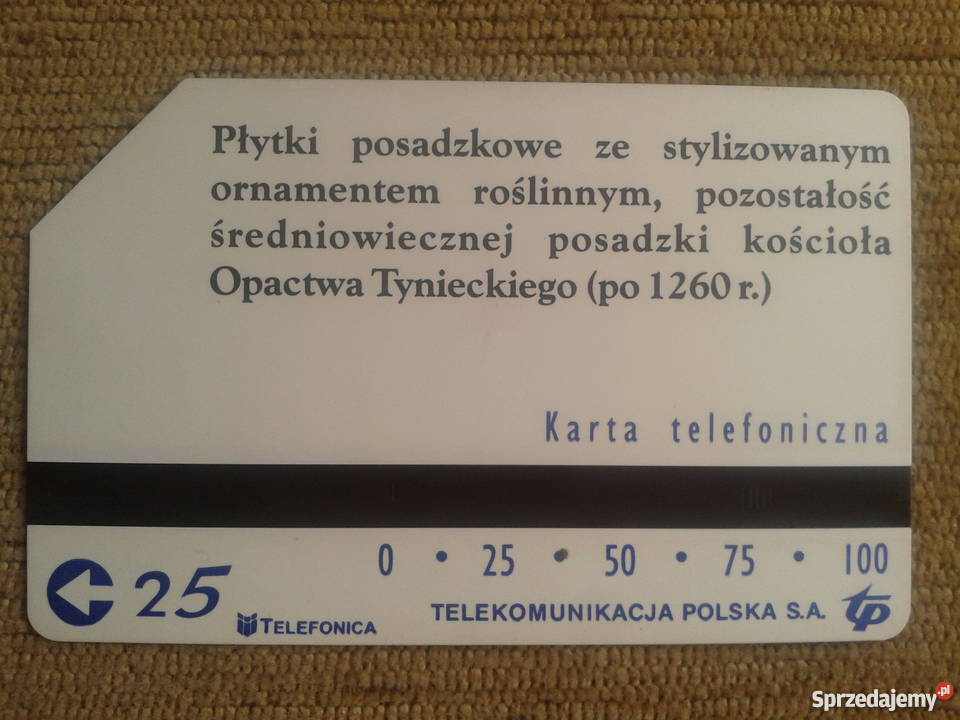 PŁYTKI POSADZKOWE ZE STYLIZOWANYM ORNAMENTEM Piszczac sprzedam