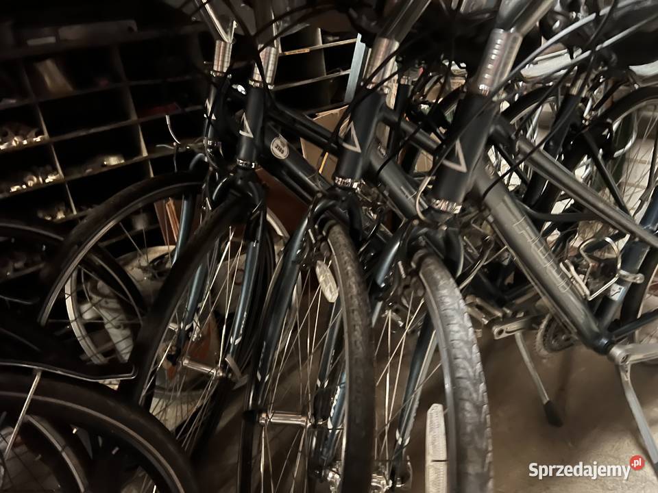 Pakiet Rowerow fuji do wypożyczalni 40 Rowery i akcesoria Milicz sprzedam