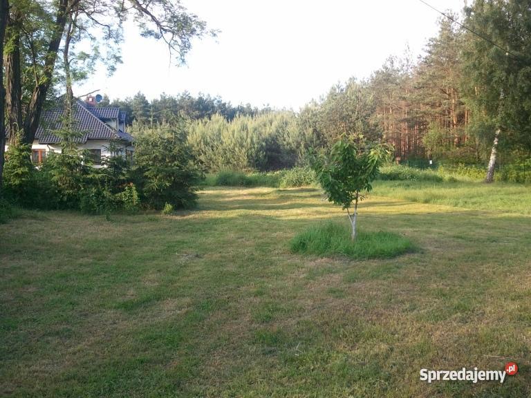 Dzikowo działka 1000 m 1000m2 Dzikowo sprzedam