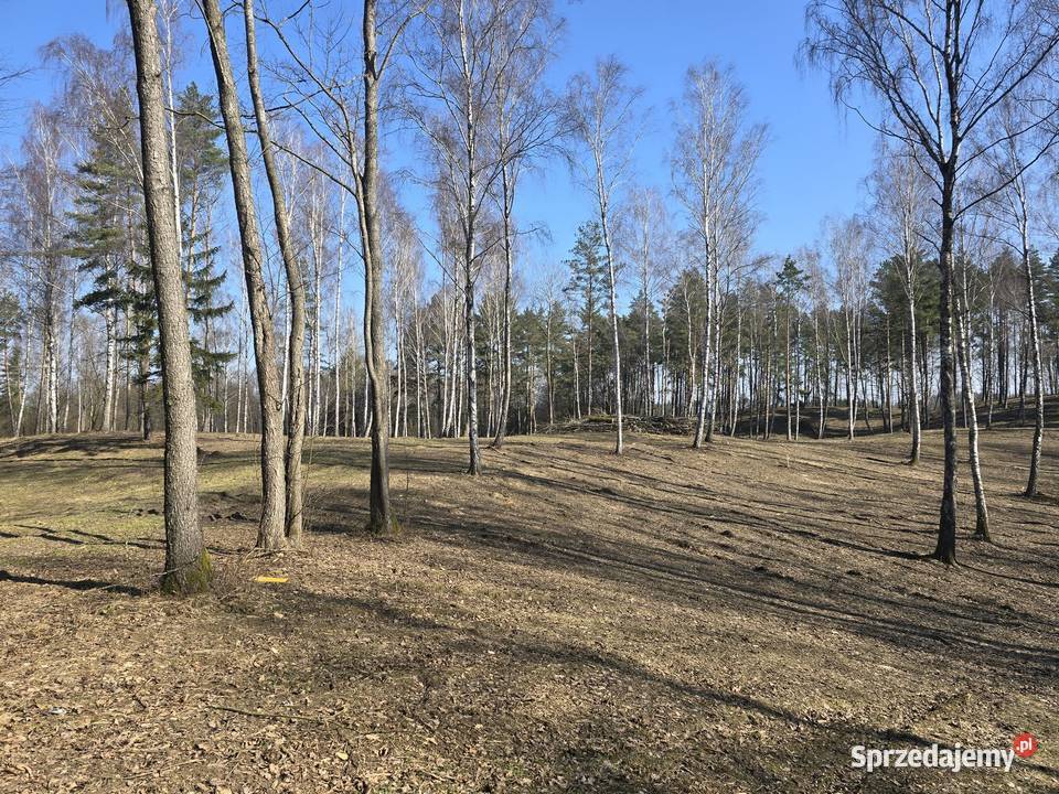 Budowlana jeziorem Dąbrowa warmińsko-mazurskie