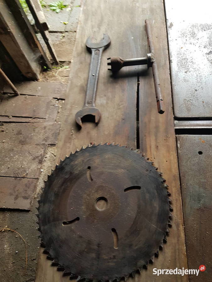 Heblarka Krajzega Lubliniec