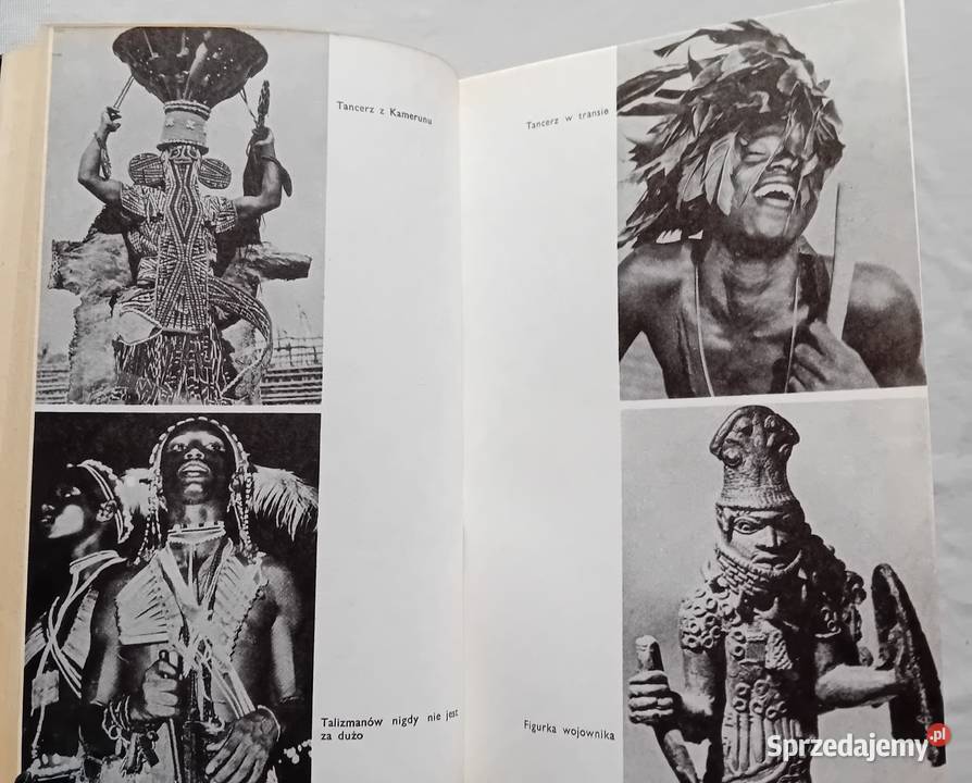 Stanisław Piłaszewicz W cieniu Krzyża i Koźminek sprzedam