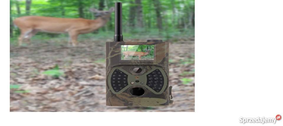 Fotopułapka Wideopułapka HC 300 M Kamera leśna świętokrzyskie Bukowa