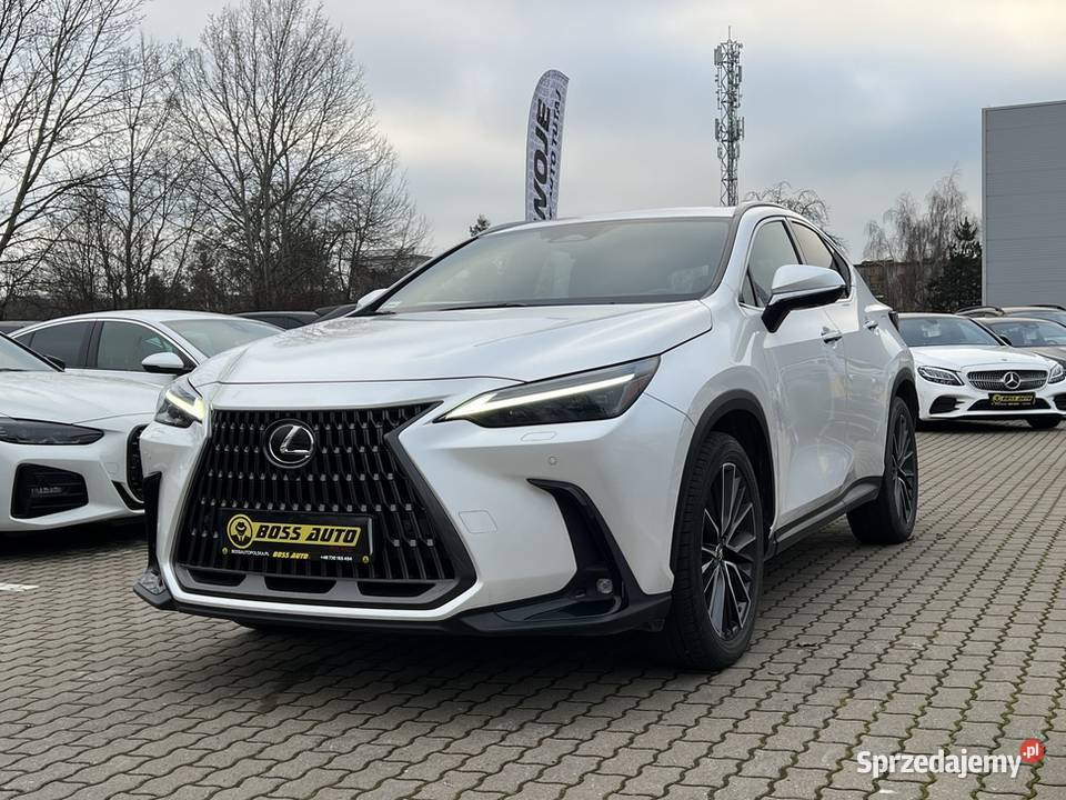 Lexus NX 300 2022 klimatyzacja mazowieckie Warszawa
