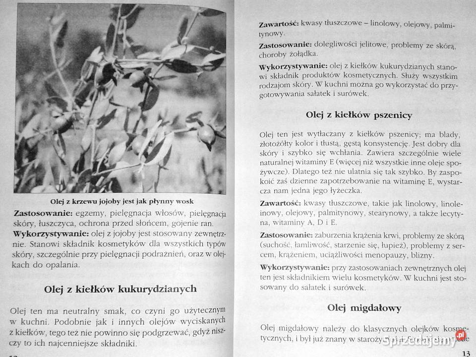 Olej na wszystko Axel Waniorek Linda Waniorek