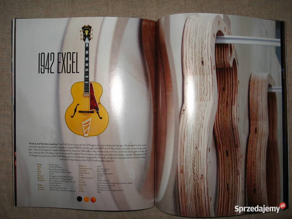 DAngelico 2016 katalog gitar Kępice