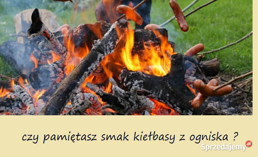 wynajmę działkę pod Krakowem rod p Wieliczka sprzedam