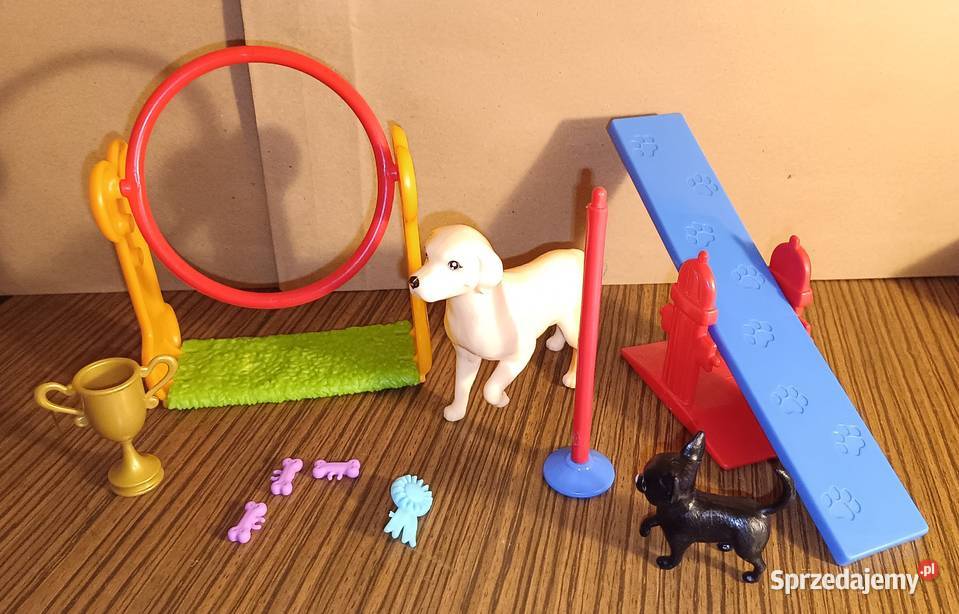 Barbie Zestaw Ken kariera zawodowa Psi trener Zbylitowska Góra