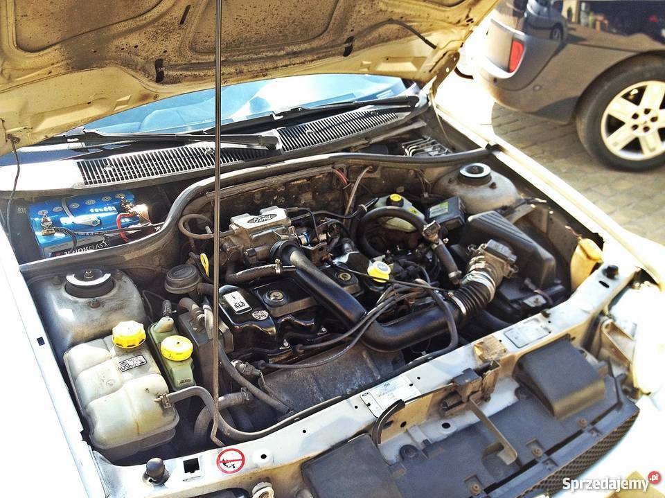 Ford Escort 14 LPG 1998 super stan Escort Toruń