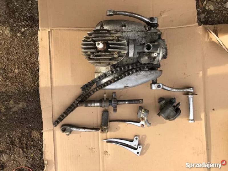 Komar sport rama komar pegaz podkarpackie Jasło