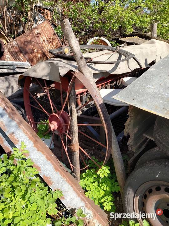 Siewnik do zboża Agromasz Radzyń Podlaski sprzedam