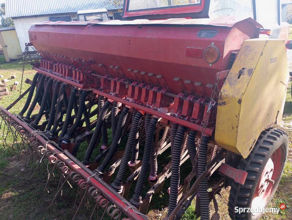 Siewnik poznaniak Hrubieszów