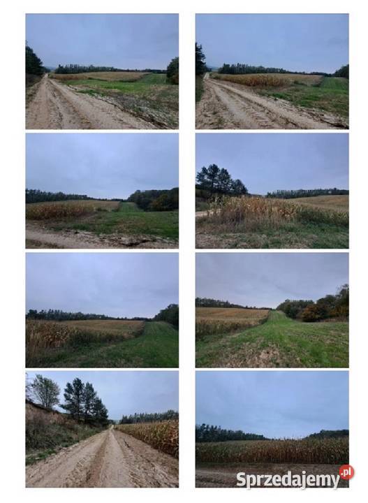 Syndyk sprzeda udział 124 w nieruchomości 7647m2 lubelskie Kraśniczyn