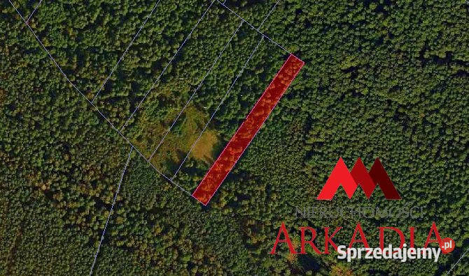 sprzedaży działki Wistka Królewska 3100m kujawsko-pomorskie