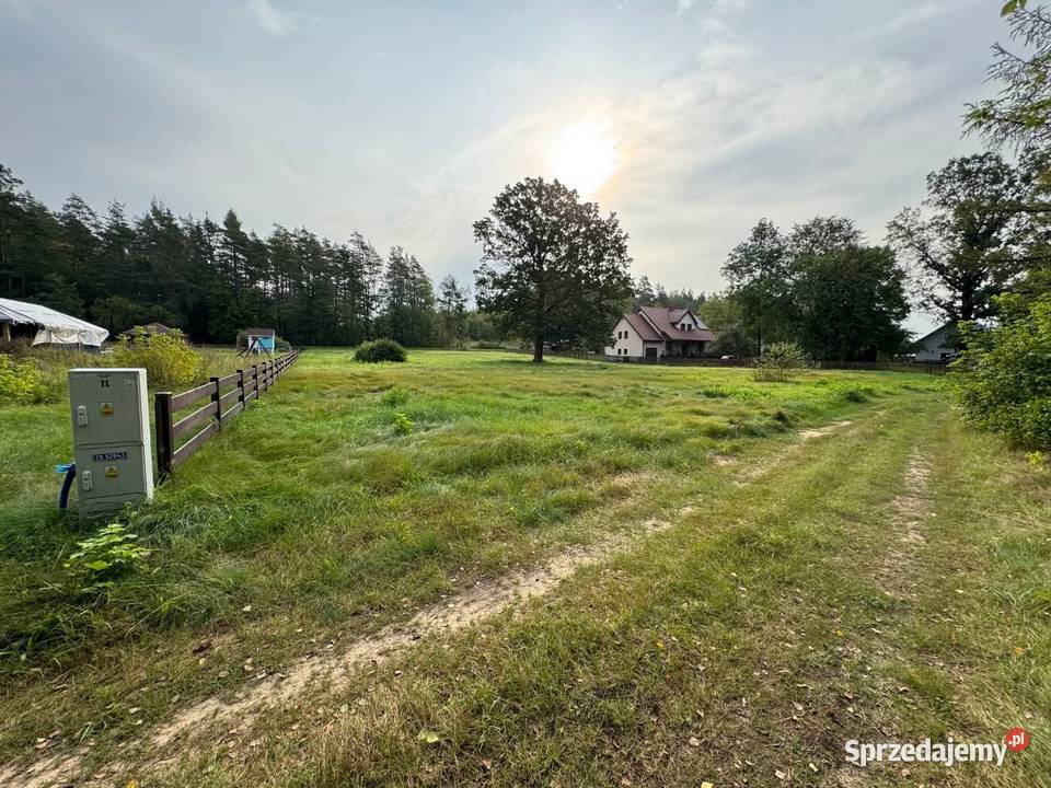 Działka budowlana o pow 3 499 m we wsi Jeże