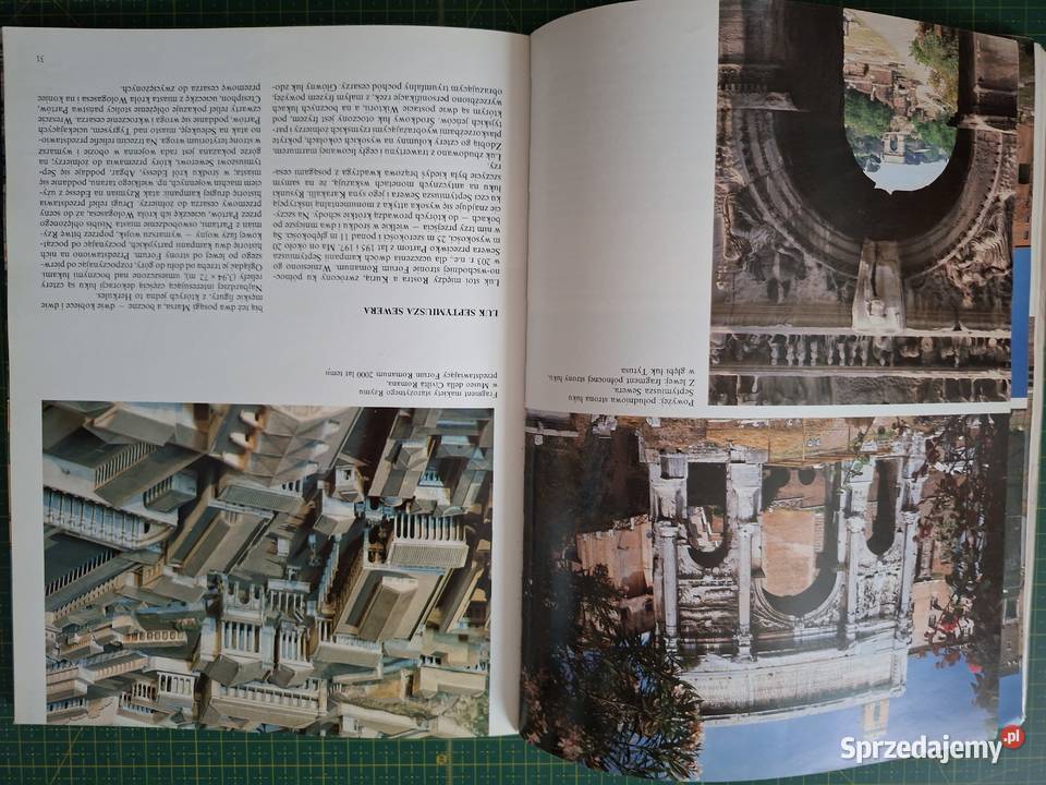 Wenecja Loretta Santini Kraków