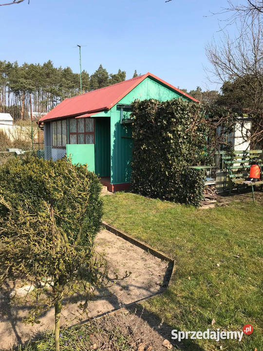 Sprzedam działkę ROD Oborniki sprzedam