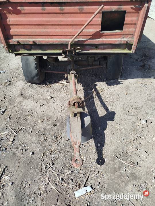 Rozrzutnik Piotrków Trybunalski