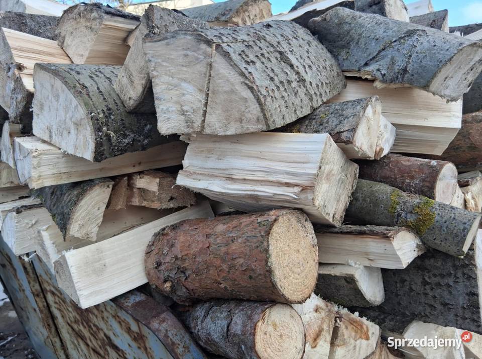 Drewno opałowe w 300 m3 Opał wielkopolskie Brzeźno