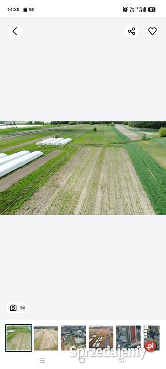 Działka rolna 3h 0zł/m2 Sprzedaż mazowieckie Grotki
