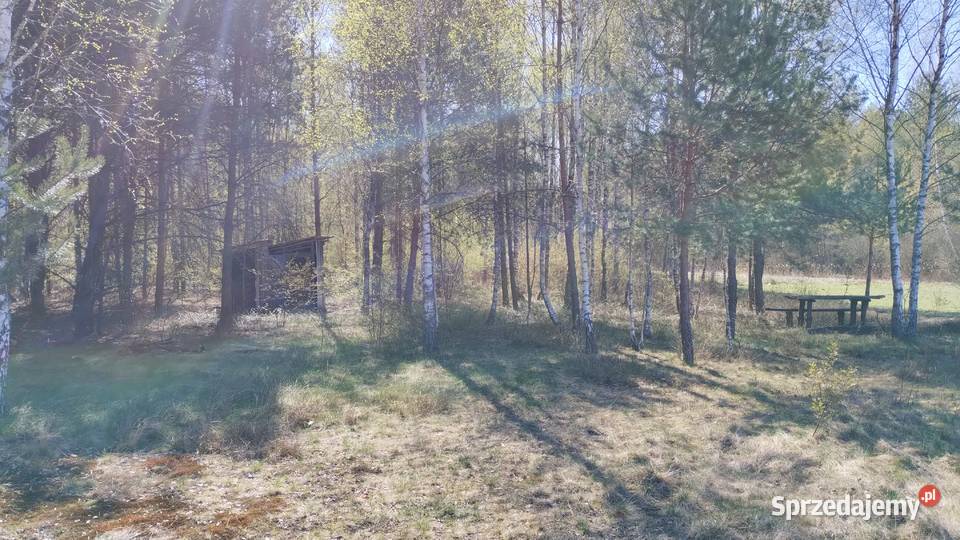 działka budowlana w Andrzejówce 4200m2 z 4200m2 Andrzejówka
