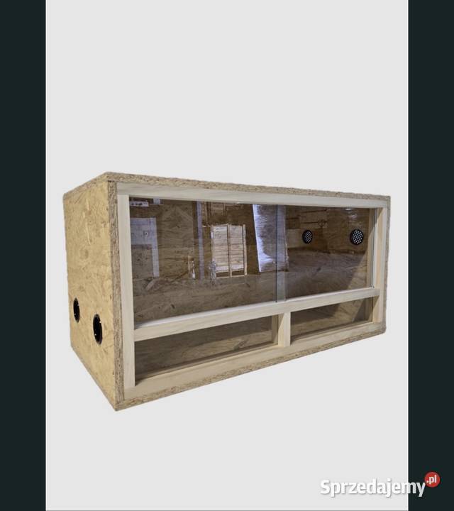 Jeż Pigmejski Białystok