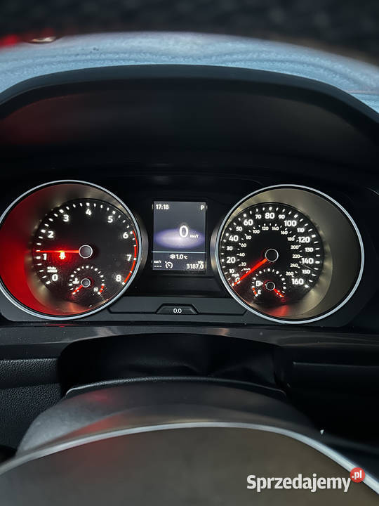 Volkswagen Tiguan 20 TSI 4Motion 2019 Automat Rok produkcji 2019