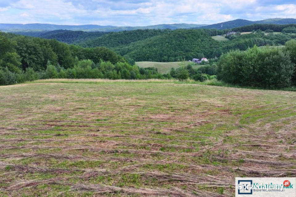 Grunt 5660m2 Myczków
