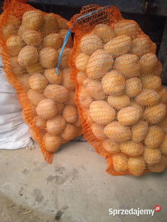 Sprzedam ziemniaki jadalne sprzedam