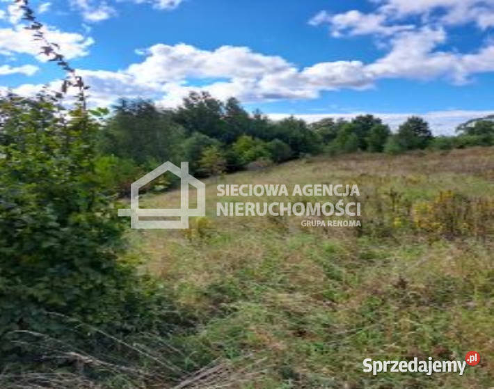 sprzedaży działki Chmielno 24100m2 Sprzedaż