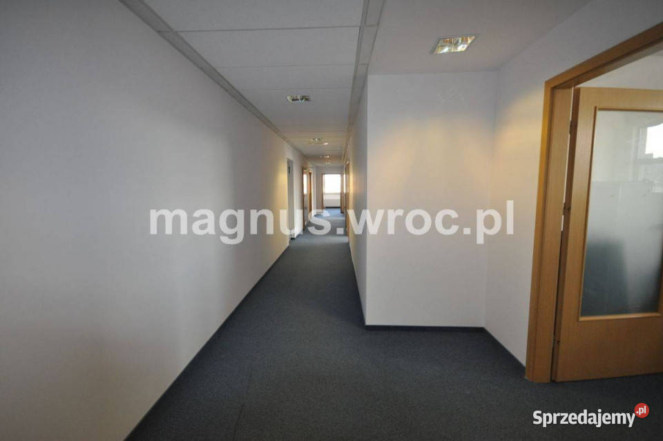 Powierzchnia biurowa do wynajęcia Wrocław