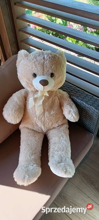 Maskotka miś Maskotki Włocławek