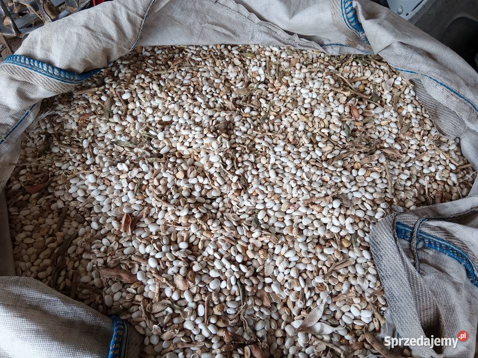Fasola pellet pasza Zamość